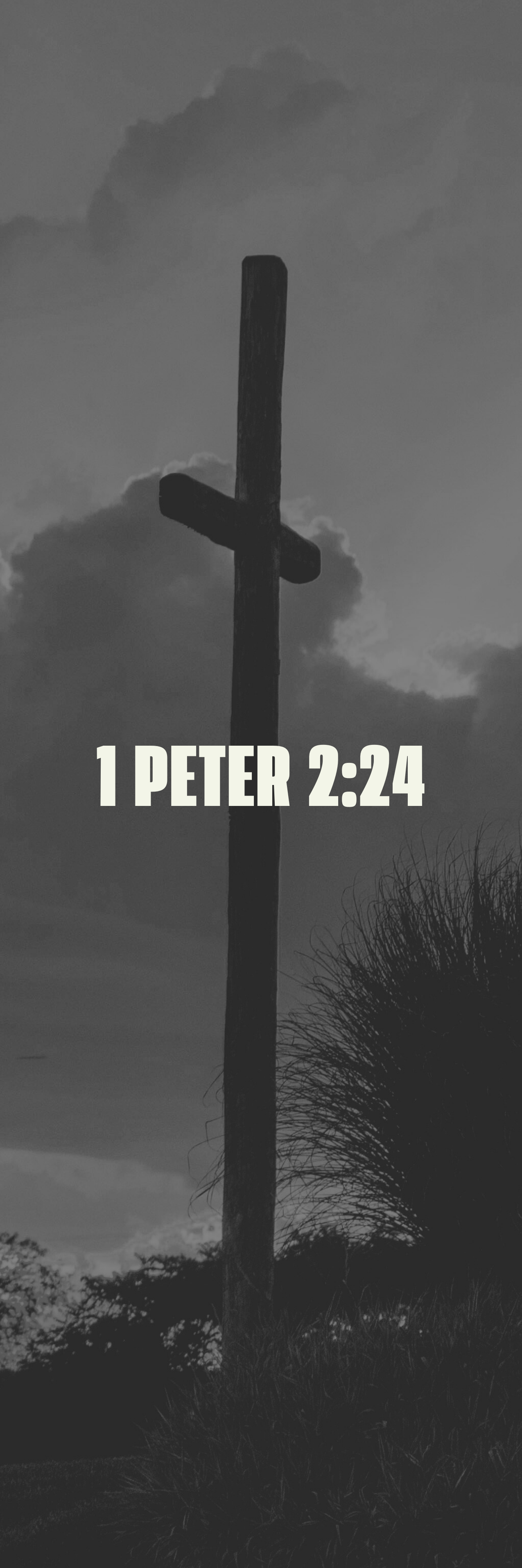 1 Peter 2:24